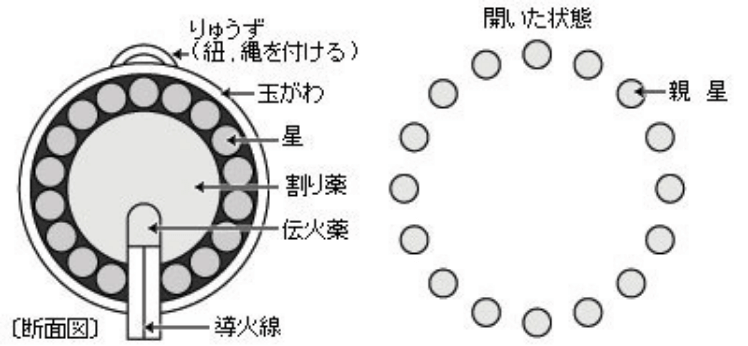 牡丹の構造