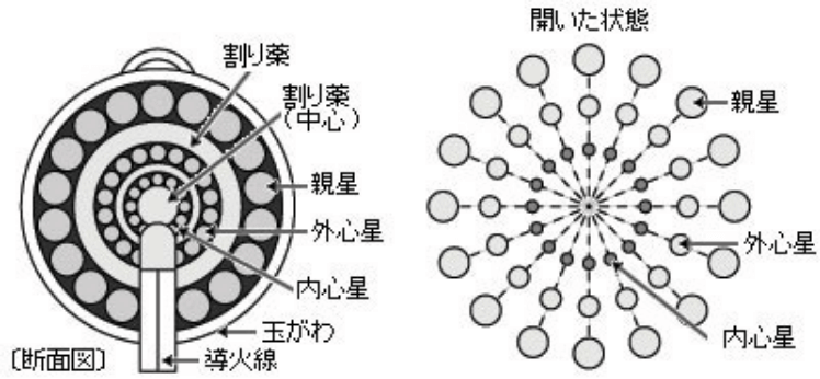 八重芯の構造